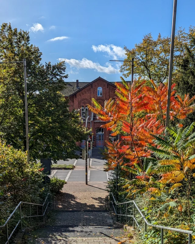 Bunt ist es am Bahnhof. 😍⁠
⁠
#badsalzuflen #bahnhof #kurstadt #fotografie #badsalzuflenmeinestadt❤️ #photographer #kurort #owl #ostwestfalen #ostwestfalenlippe #herbst #autumn #photooftheday #picoftheday #streetphotography #photography #streetart #streetphoto #urbanphotography #fachwerkhaus #backsteinhaus #altstadt #backsteinromantik #redbrickhouse #brick #brickhouse